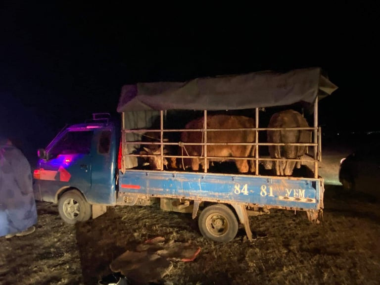 Малчдад 14 сая төгрөгийн хохирол учруулсан хулгайчдыг баривчилжээ