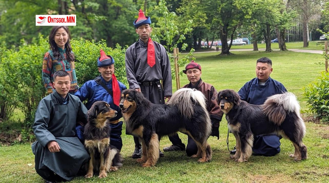 Монголын гурван банхар дэлхийн рингэнд өрсөлдөж байна