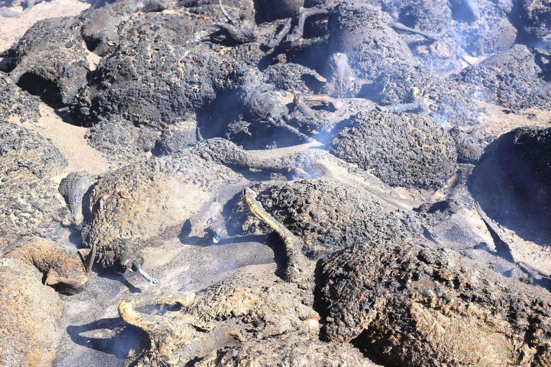 Зүүн аймгуудад гарсан түймэрт өртсөн айл өрхүүдэд гэр олгохоор шийдвэрлэлээ