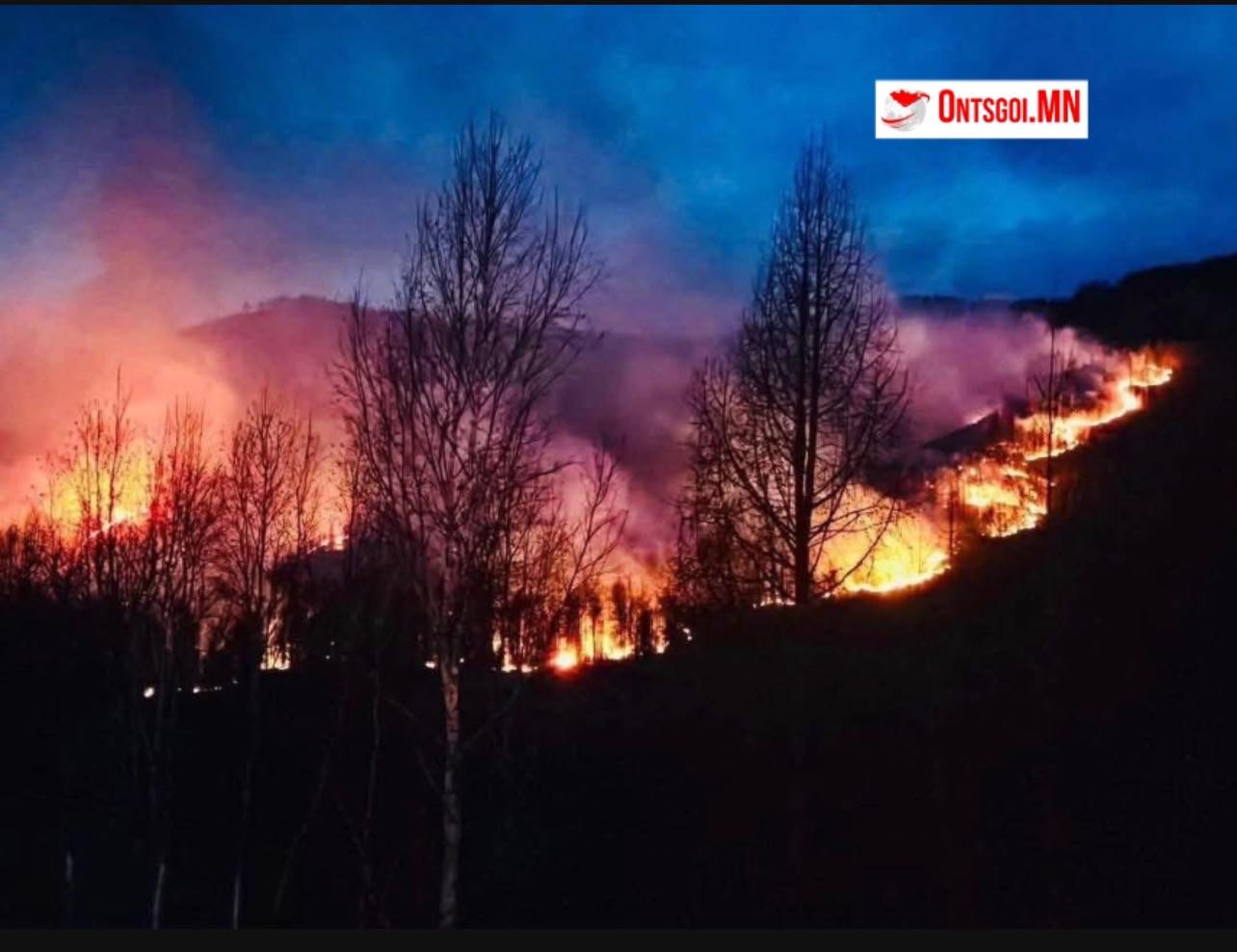Хөвсгөл аймгийн Эрдэнэбулган суманд ойн түймэр гарчээ